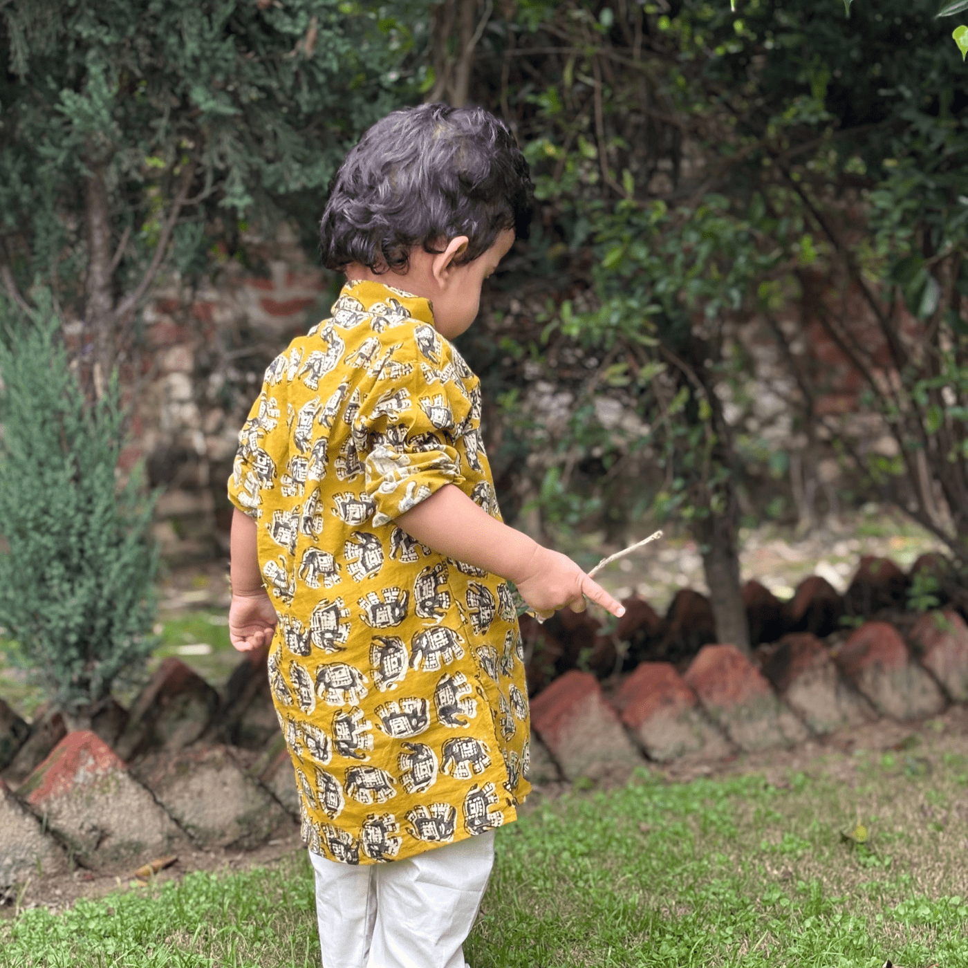 Zoey Ethnic Wear Festive Tusker Kurta Pajama Set