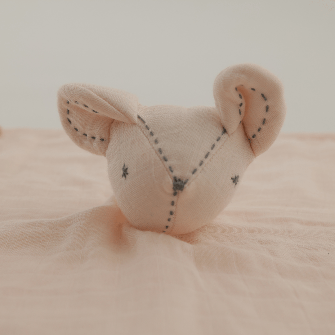 Zoey muslin napkins Blush Whiskers Muslin Comforter for Baby